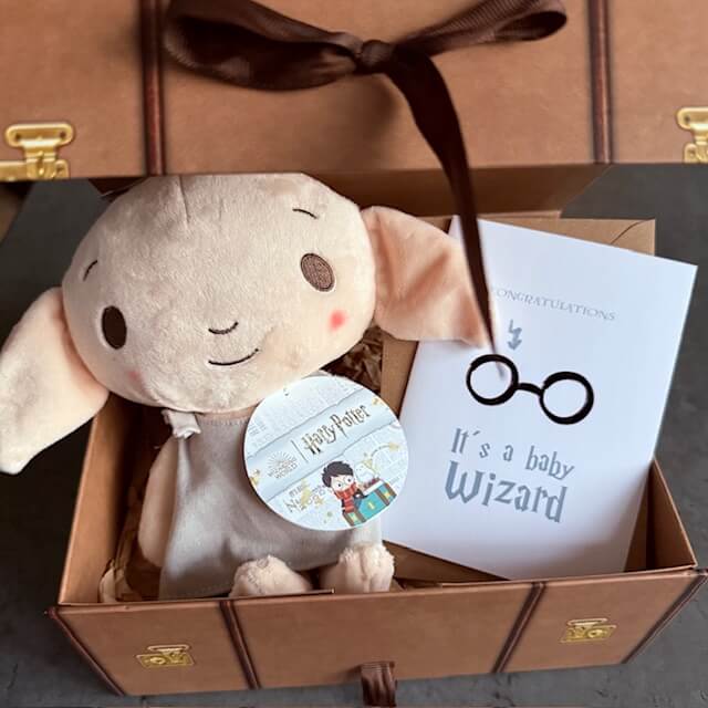 Harry Potter Baby Dobby Gift Set - A Wizard Is Born