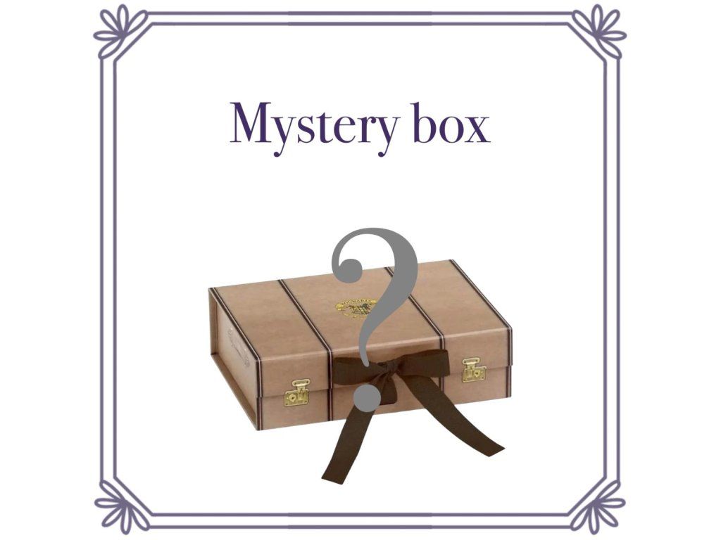Harry Potter Mystery box Malý kufřík plný kouzel - Světkouzel.com